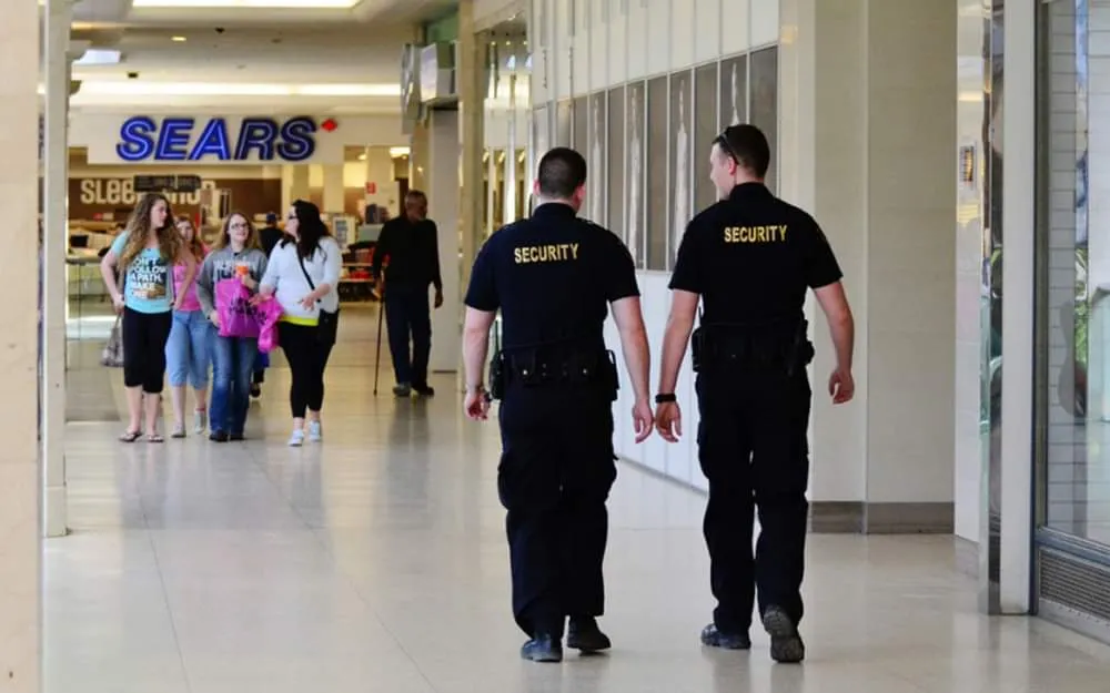 eagle eye protection group security officer retail security services