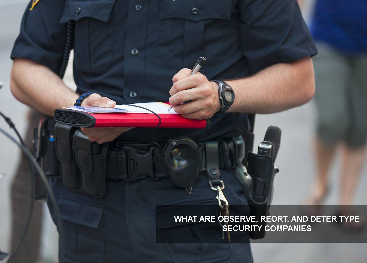 eagle eye protection group security security guard write a report